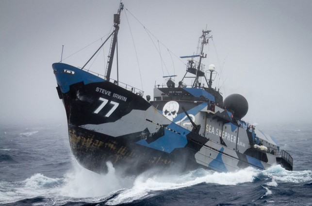 Sea Shepherd-Steve Irwin
